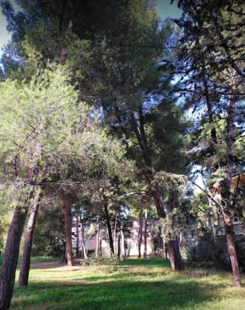 Studio Marseille Calanques Екстериор снимка