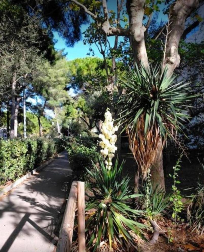 Studio Marseille Calanques Екстериор снимка